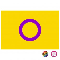 Fahne "Intersex Pride"...
