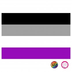 Fahne " Asexuel Pride" (90x150cm)